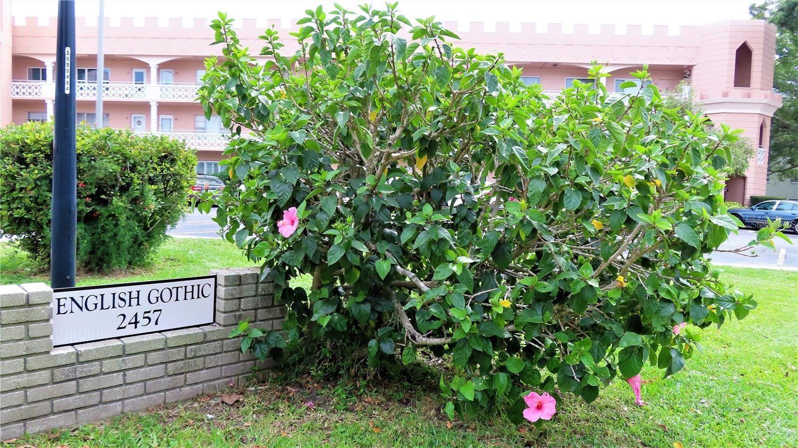 2457 Ecuadorian Way, FL