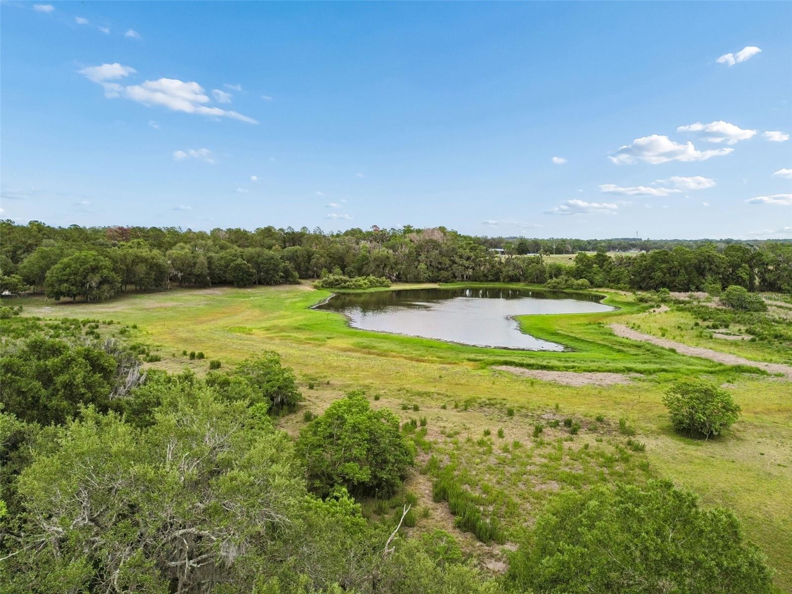000 Palomino Lakes Dr, FL
