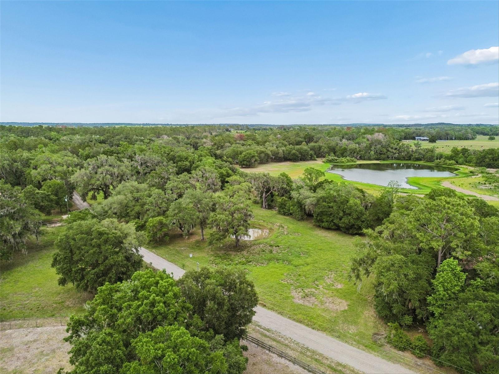 000 Palomino Lakes Dr, FL