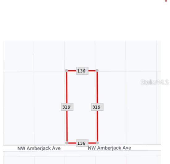 Amberjack, Lot #33, FL