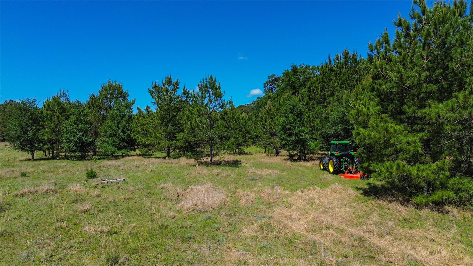 6489 Quarterhorse Lane, FL