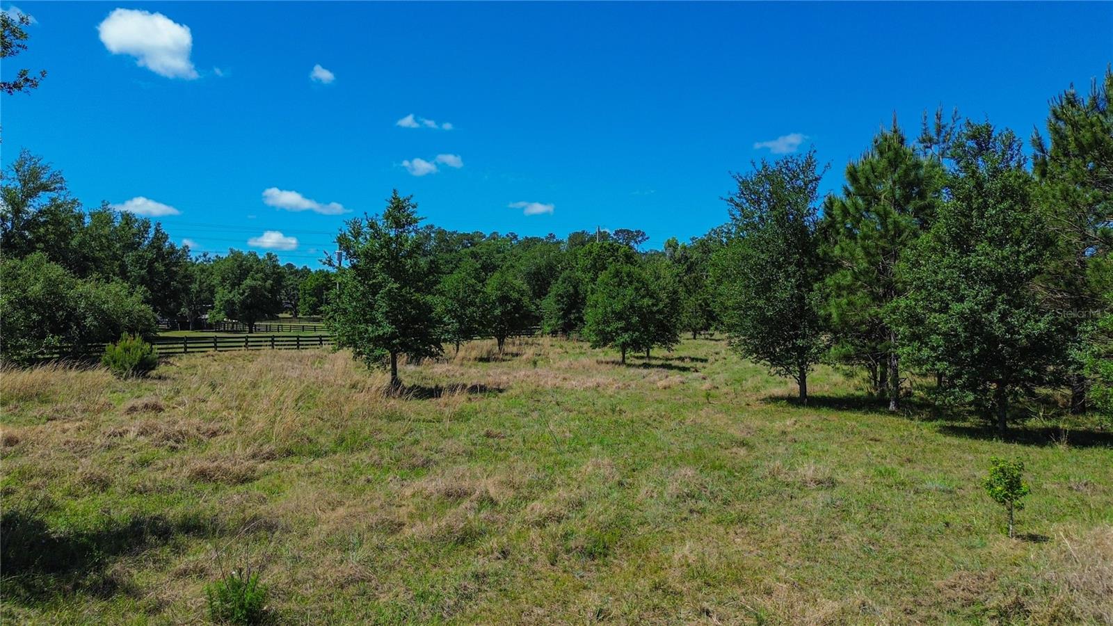 6489 Quarterhorse Lane, FL