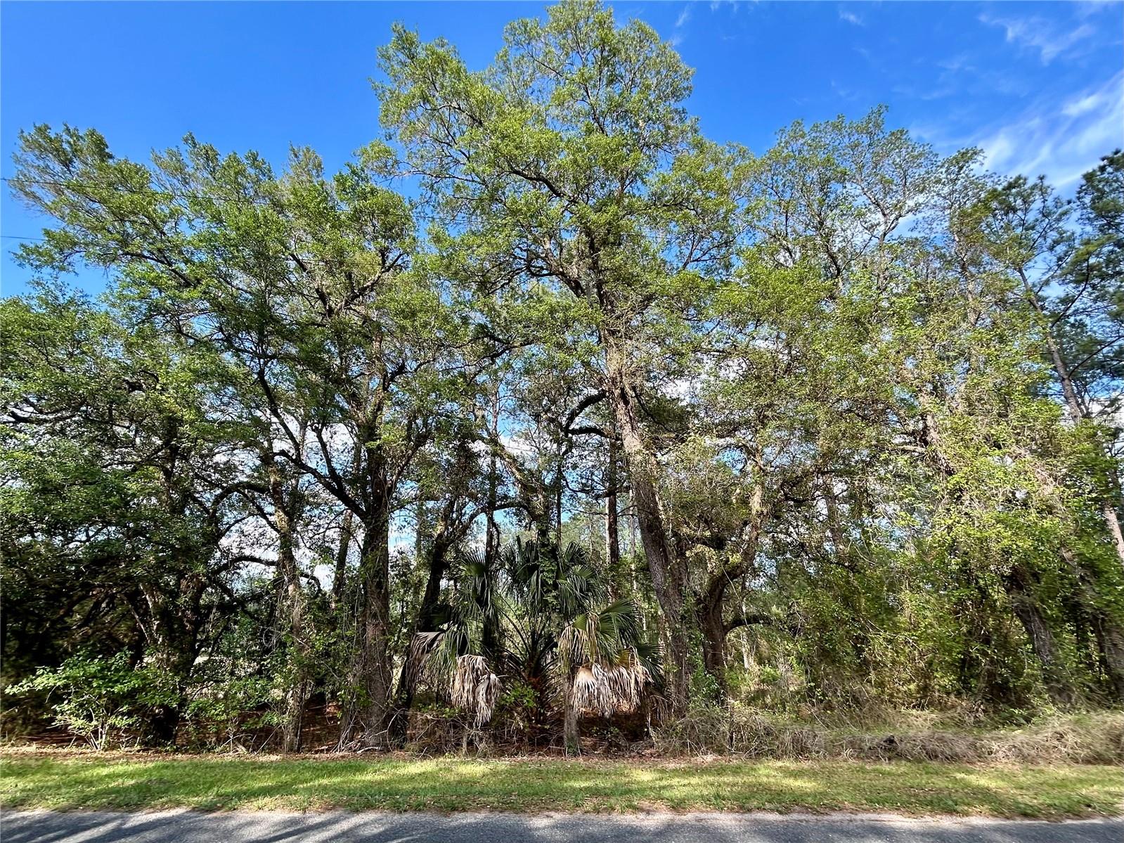 4819 211th Drive, FL