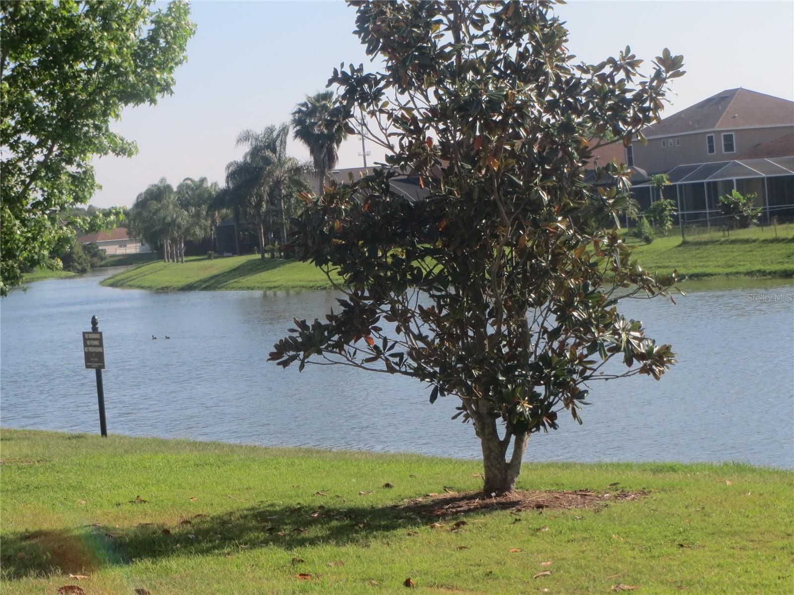 6925 Towering Spruce Drive, FL