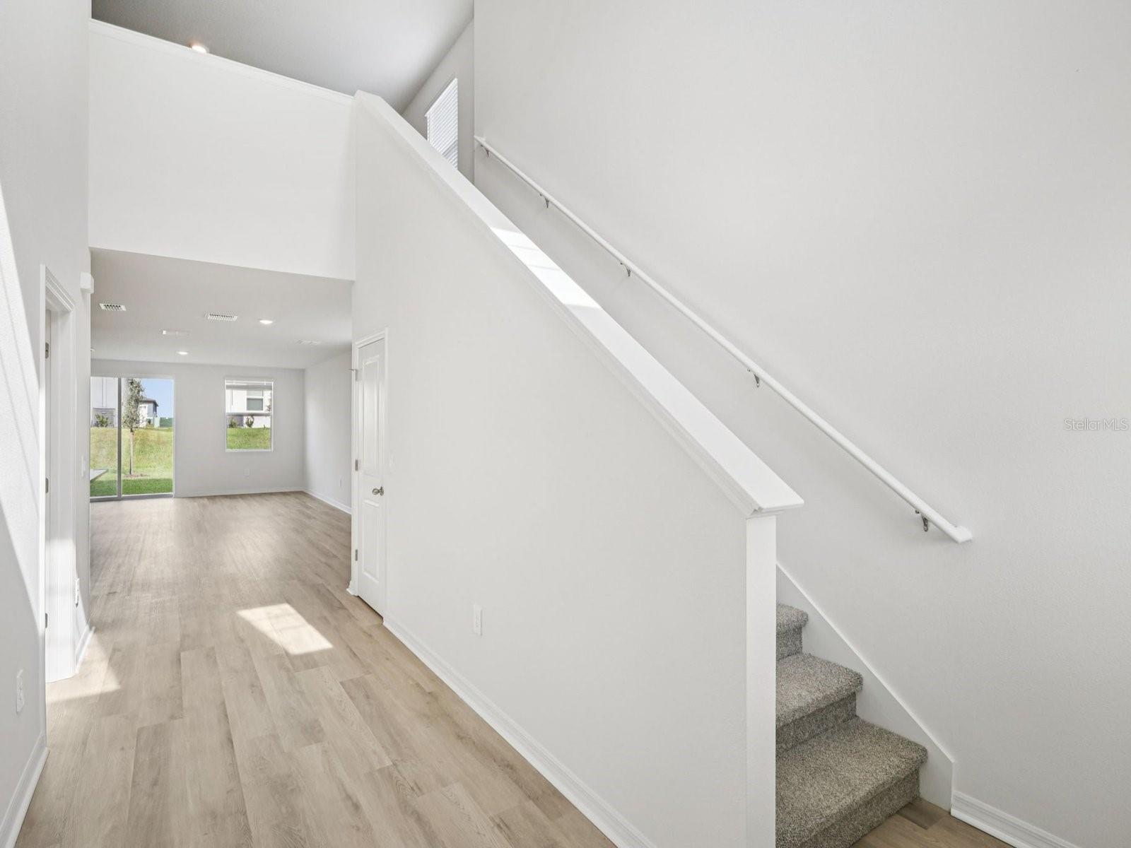 7426 Mia Vine Drive, FL