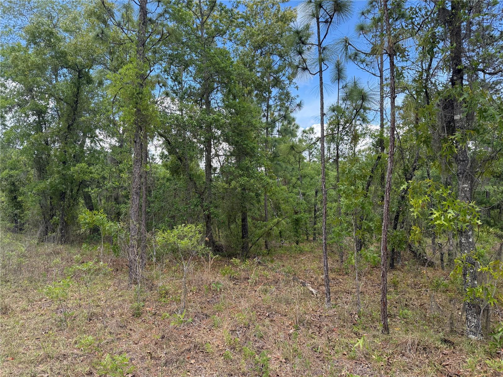 00 Se 126th Terrace, FL