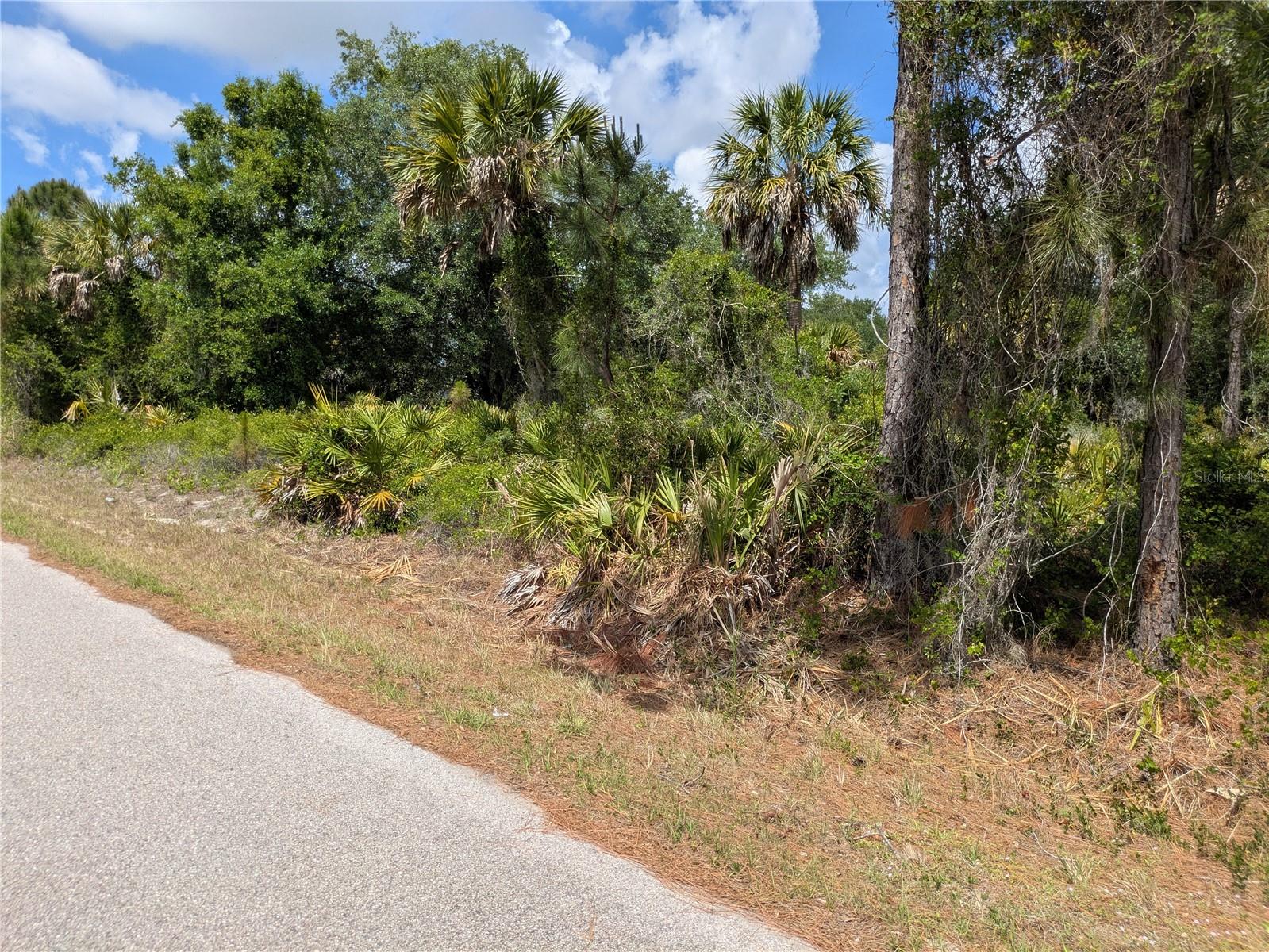 Delight Avenue, FL