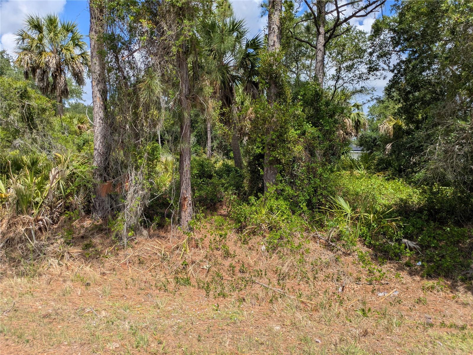 Delight Avenue, FL