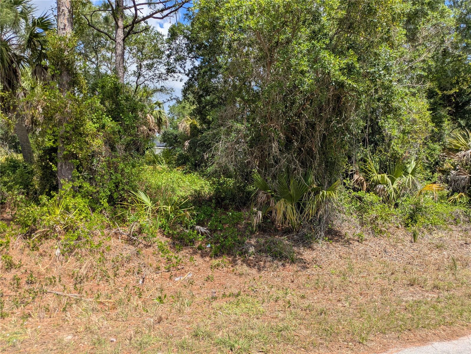 Delight Avenue, FL
