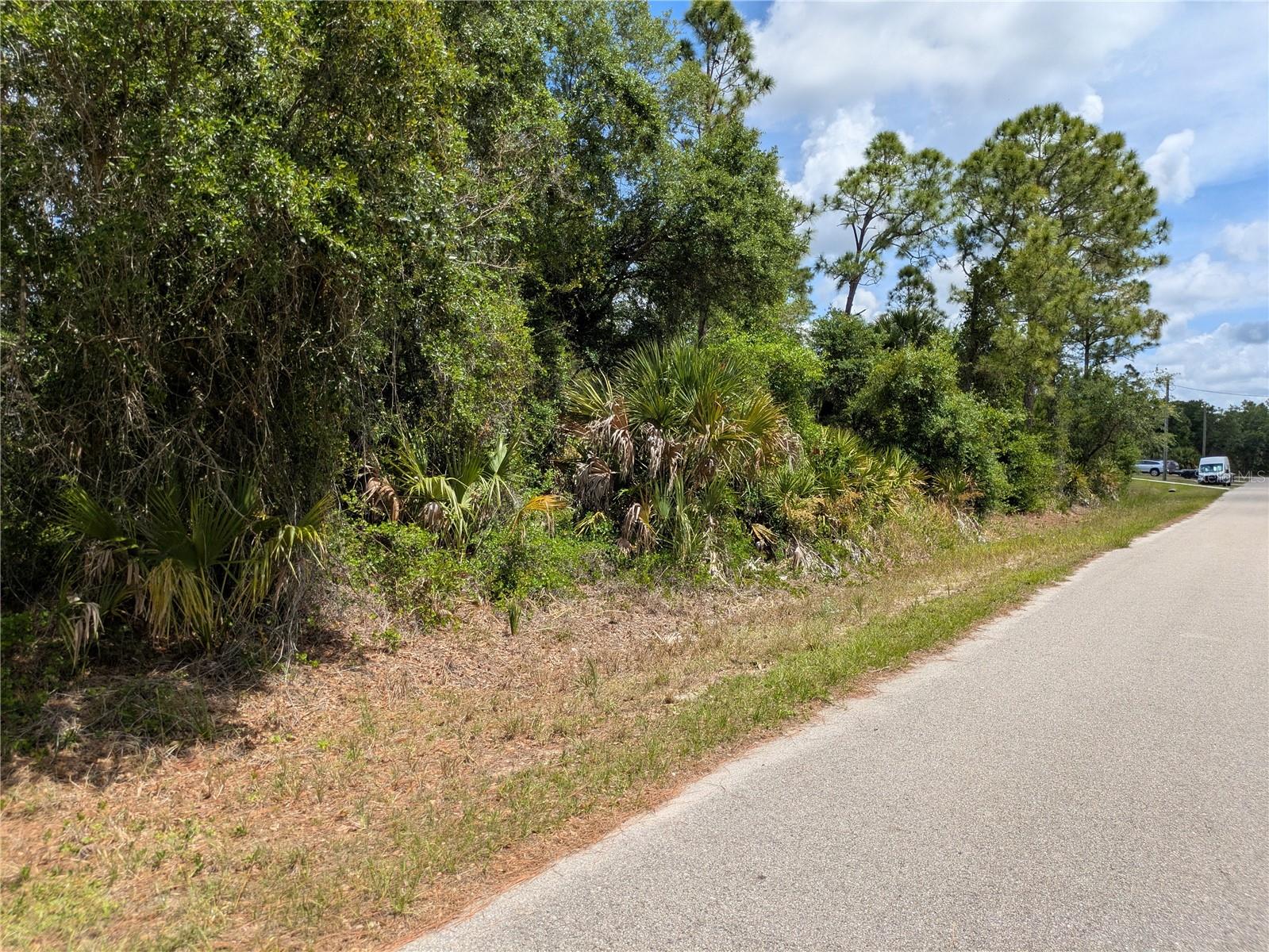 Delight Avenue, FL