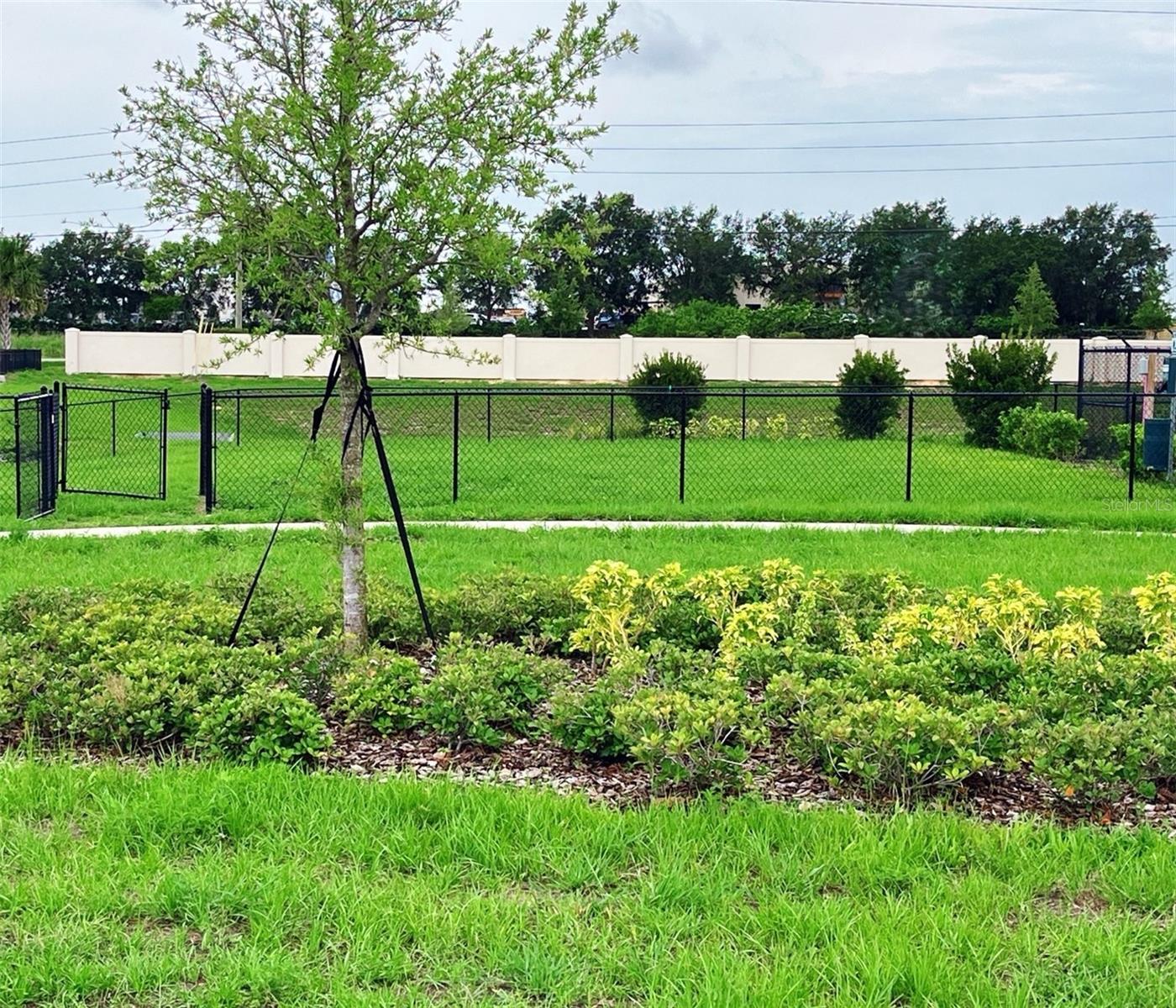437 Marion Loop, FL