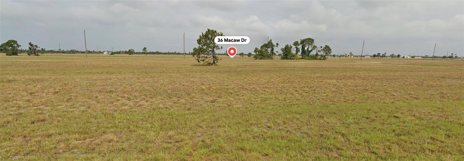 36 Macaw Drive, FL
