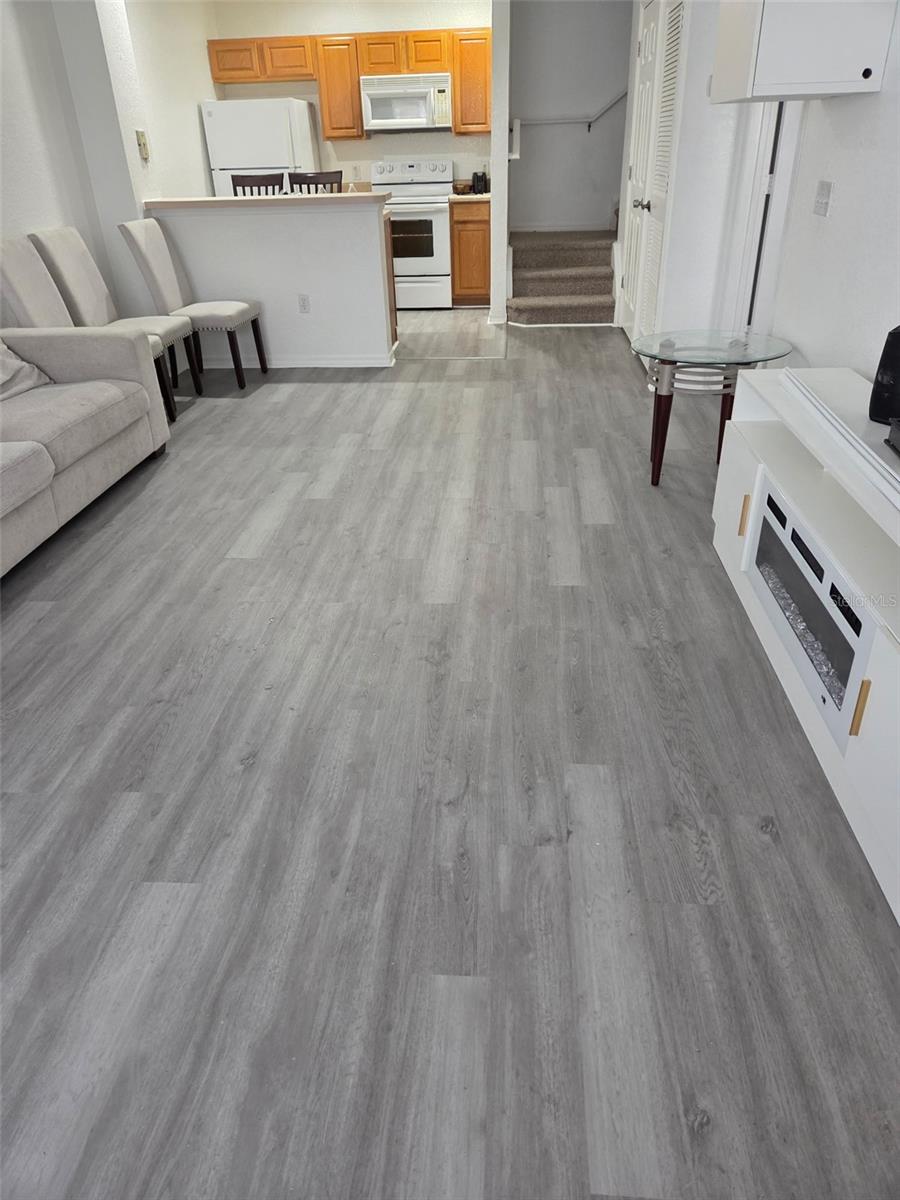 4552 Jona Free Lane, FL