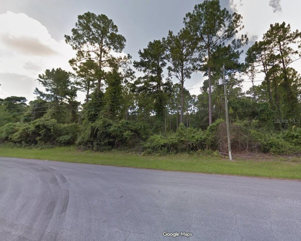 2519 Coachman Drive, FL