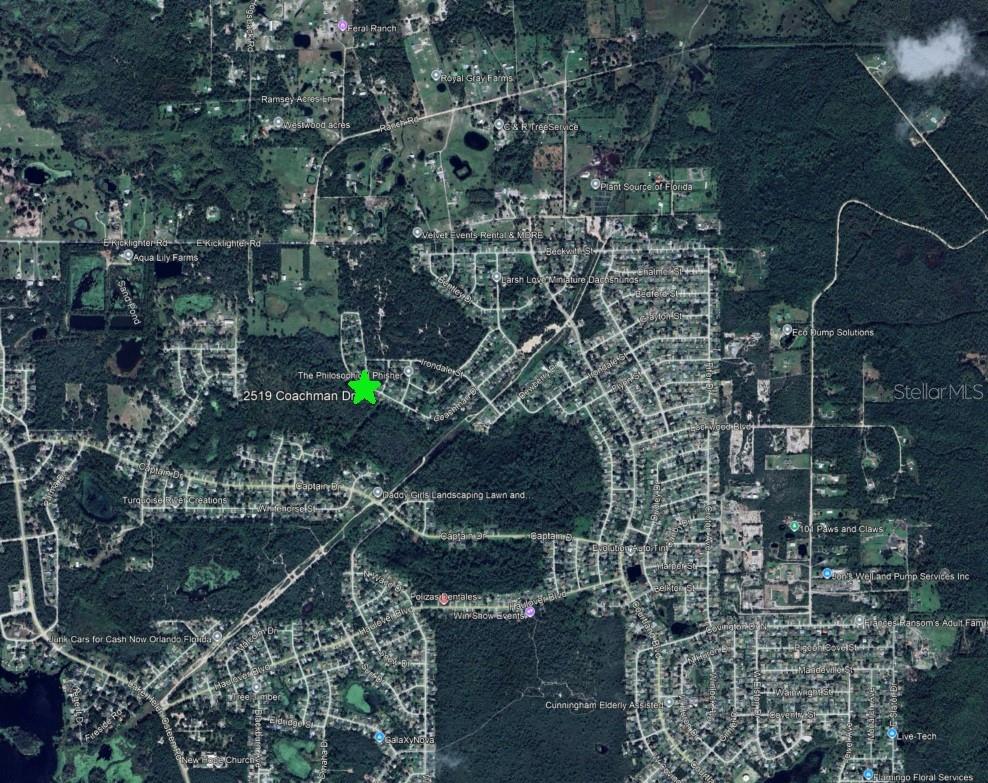 2519 Coachman Drive, FL
