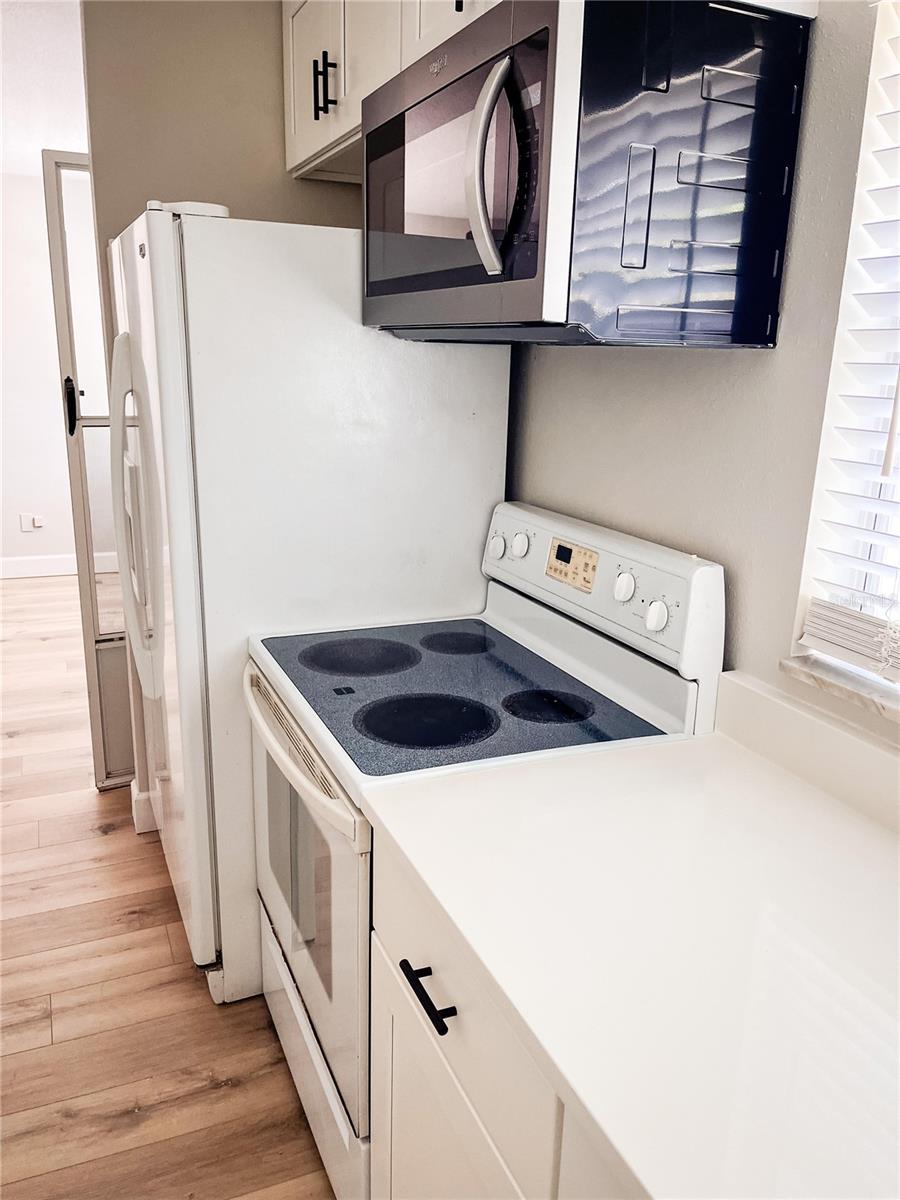 24862 Us Highway 19, FL