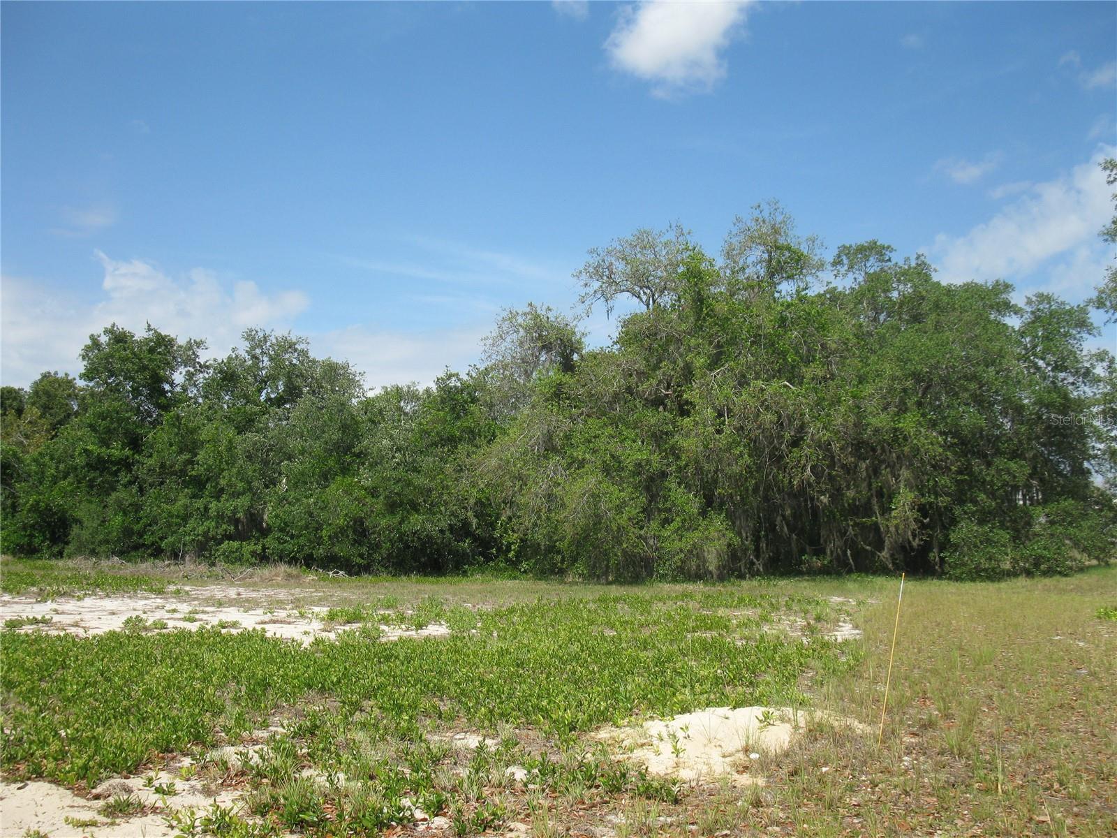 4199 Jacaranda Drive, FL