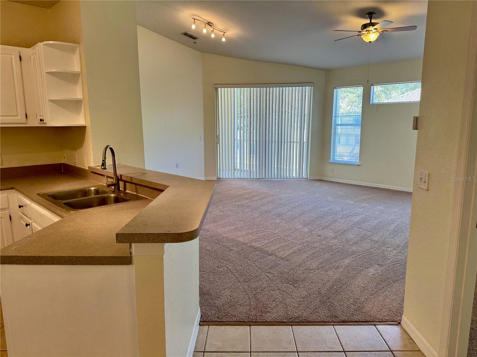1100 Lake Shadow Circle, FL