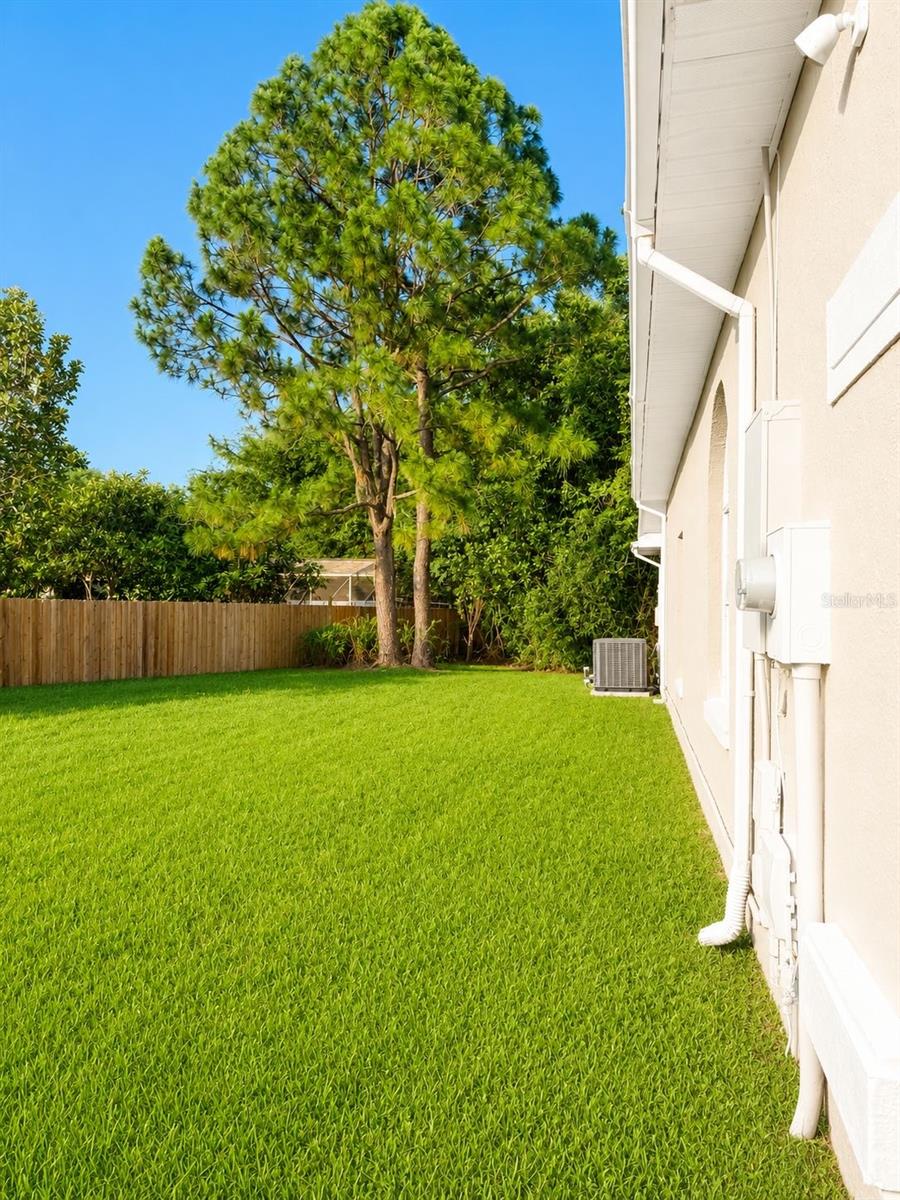 14701 Madonna Lily Court, FL