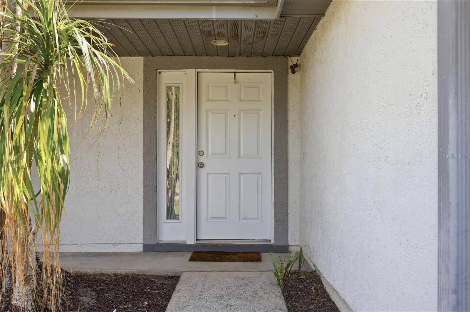 10137 Pink Carnation Court, FL