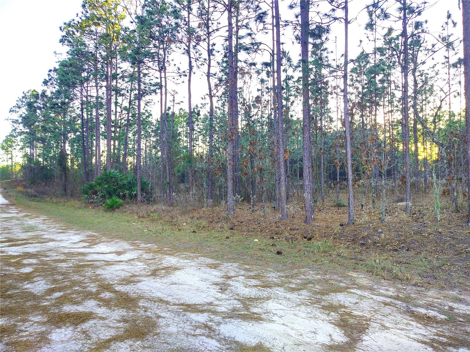 5980 127th Ave Road, FL