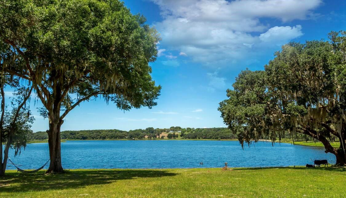 34710 Clayton Road, FL