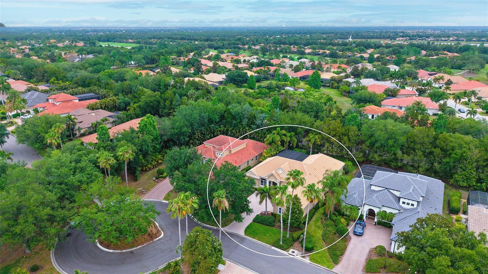 7507 Abbey Glen, FL