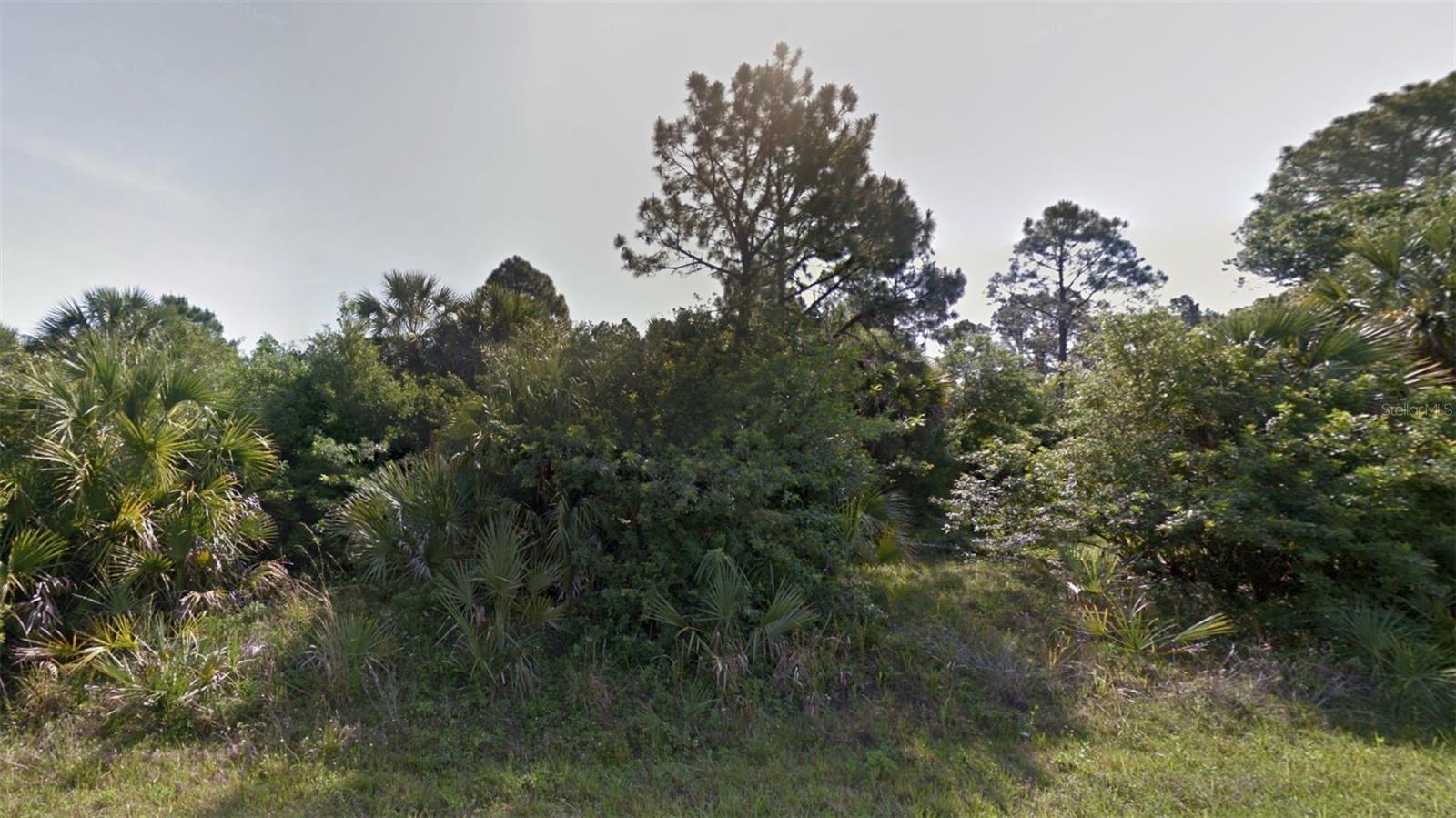 Bigflower Avenue, FL