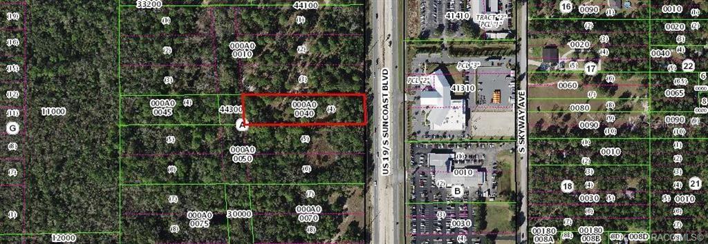 1224 Suncoast Boulevard, FL