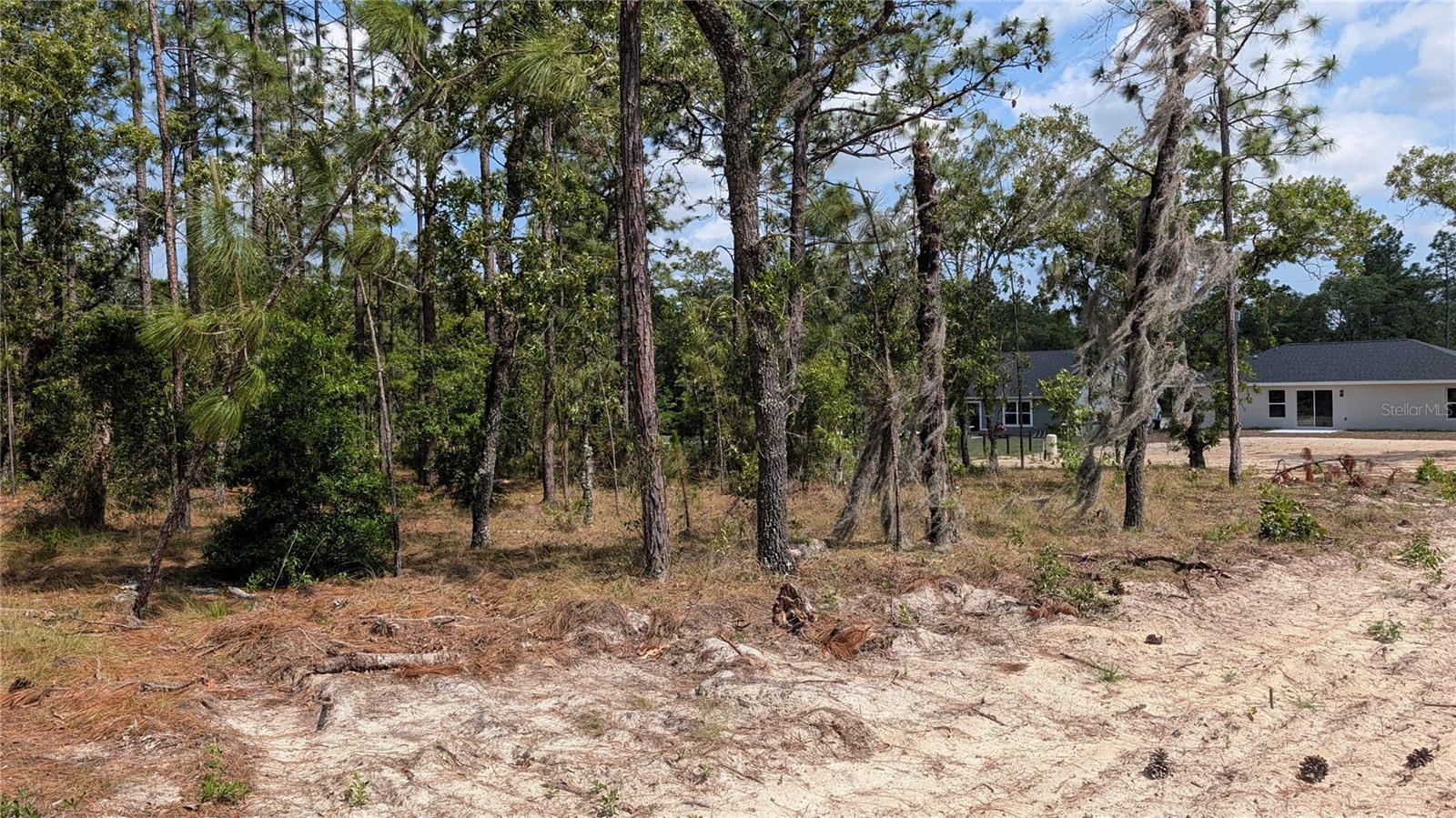 Lot 32 Hemlock Avenue, FL