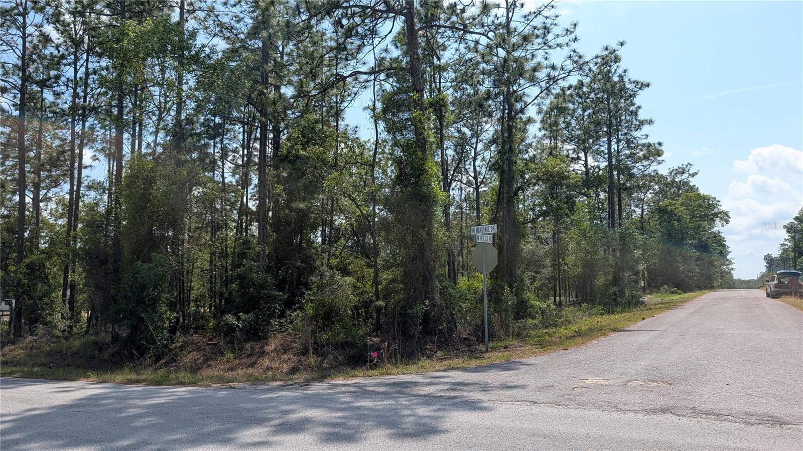 Lot 32 Hemlock Avenue, FL