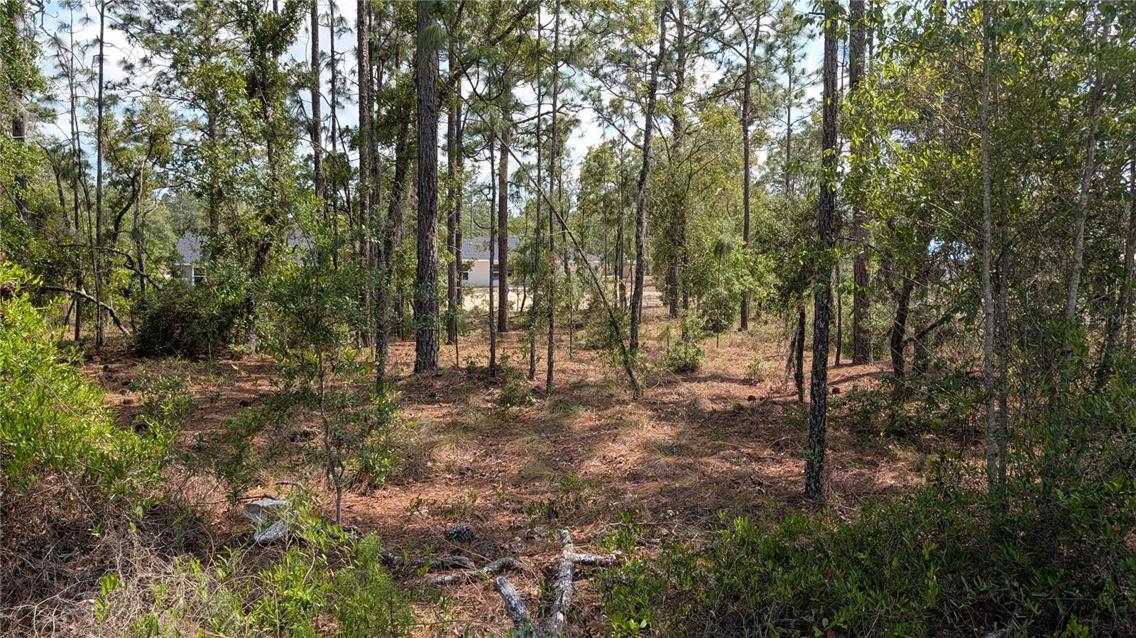 Lot 32 Hemlock Avenue, FL