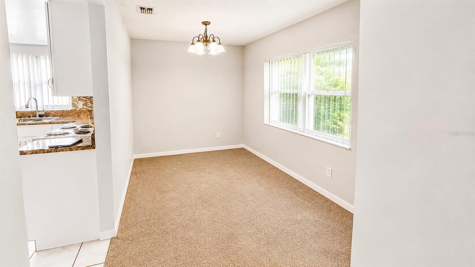 9919 Turf Court, FL