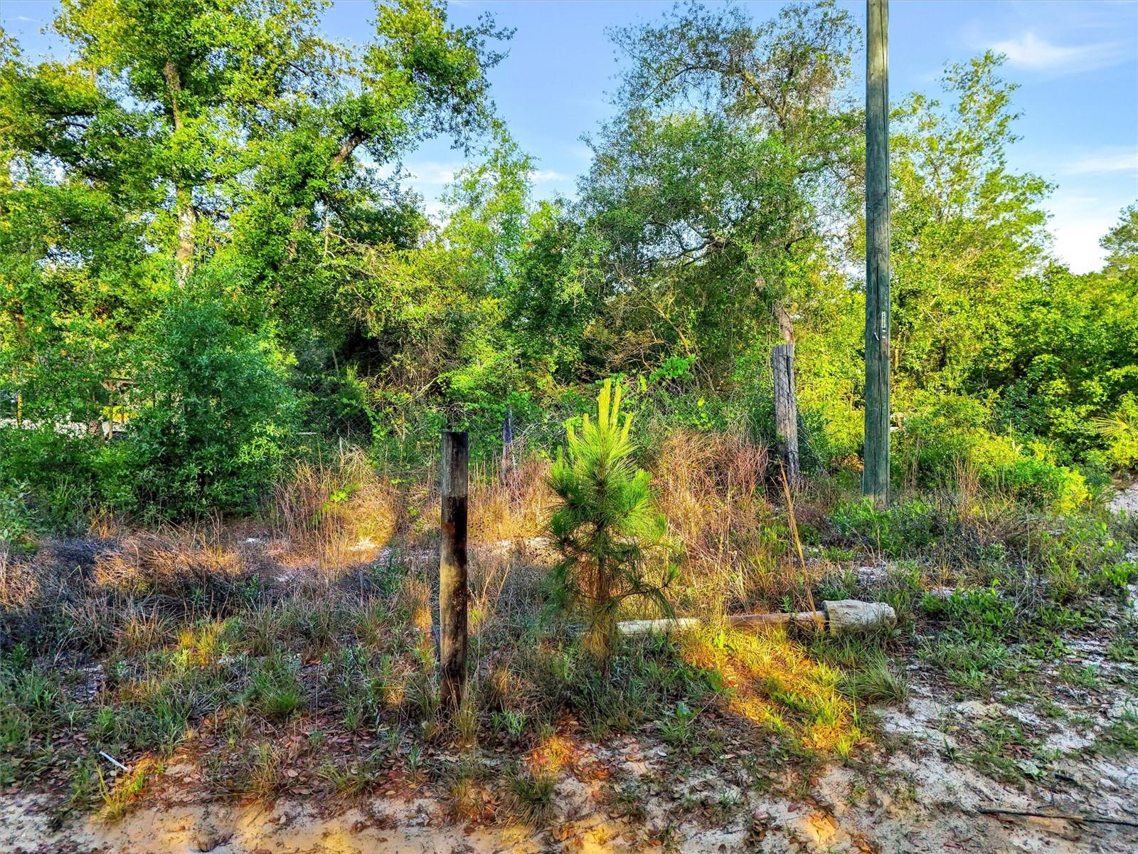Jewell Drive, FL