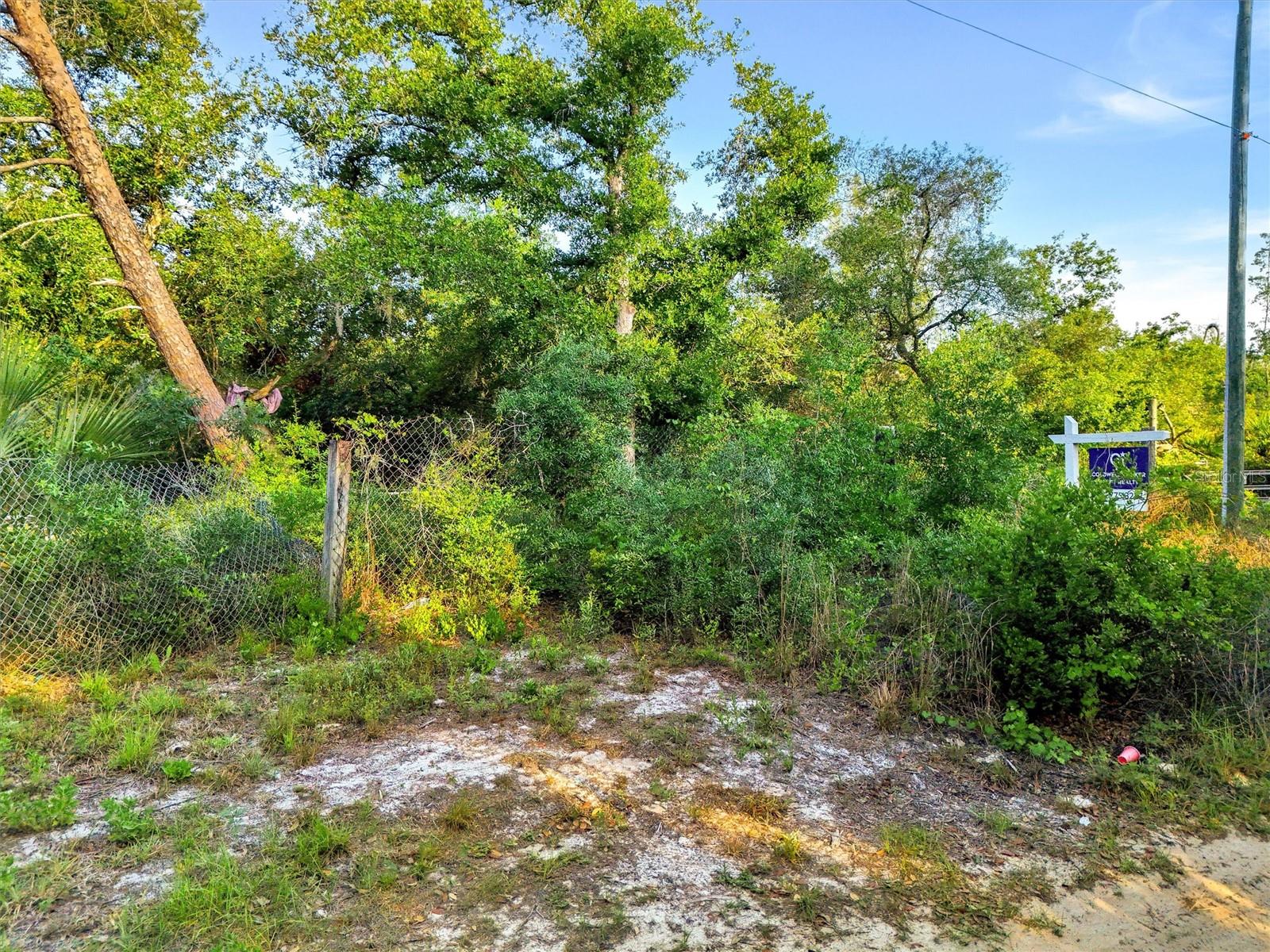 Jewell Drive, FL
