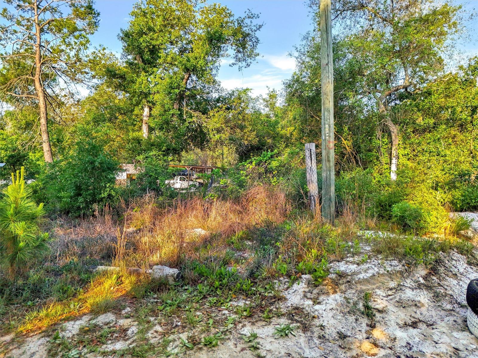 Jewell Drive, FL