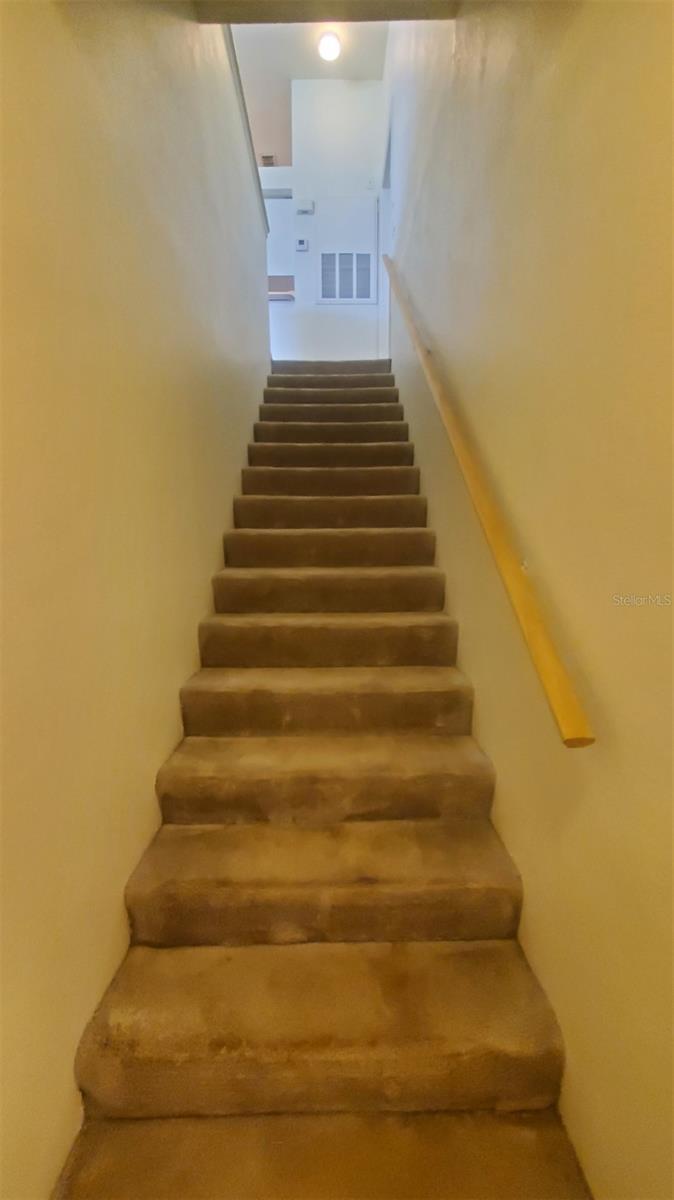 36243 Lake Chase Boulevard, FL