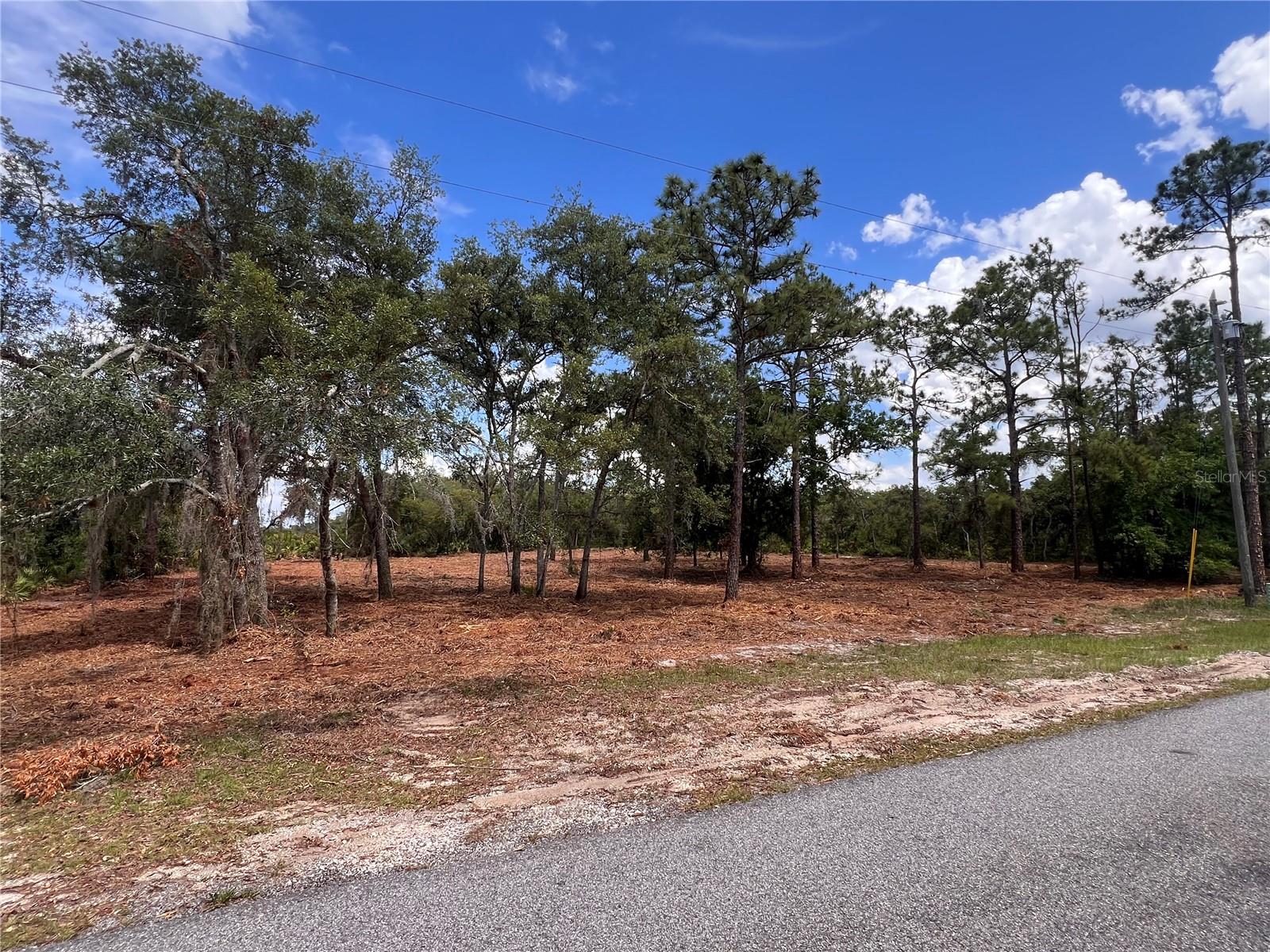 Deer Road, FL
