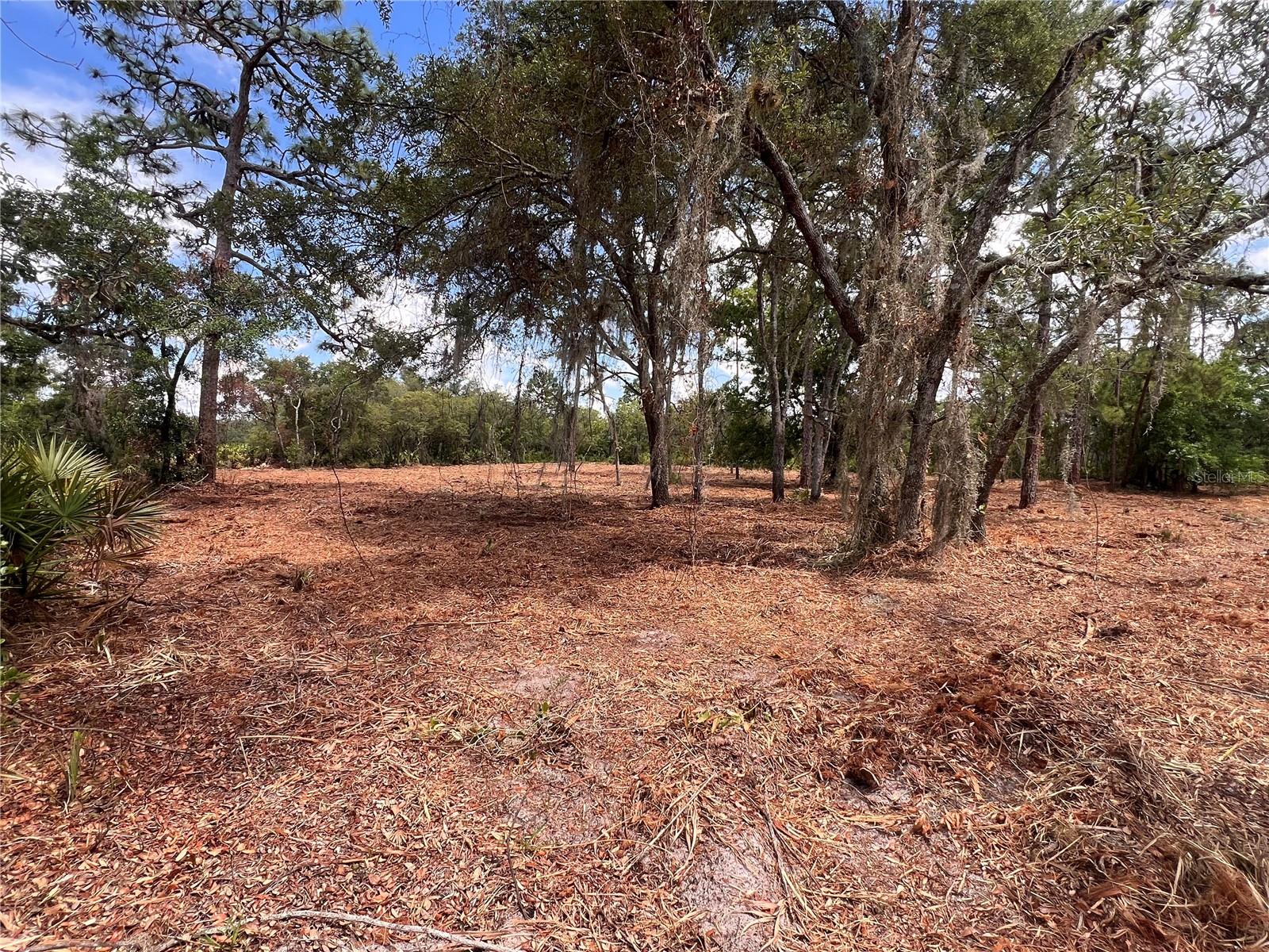 Deer Road, FL