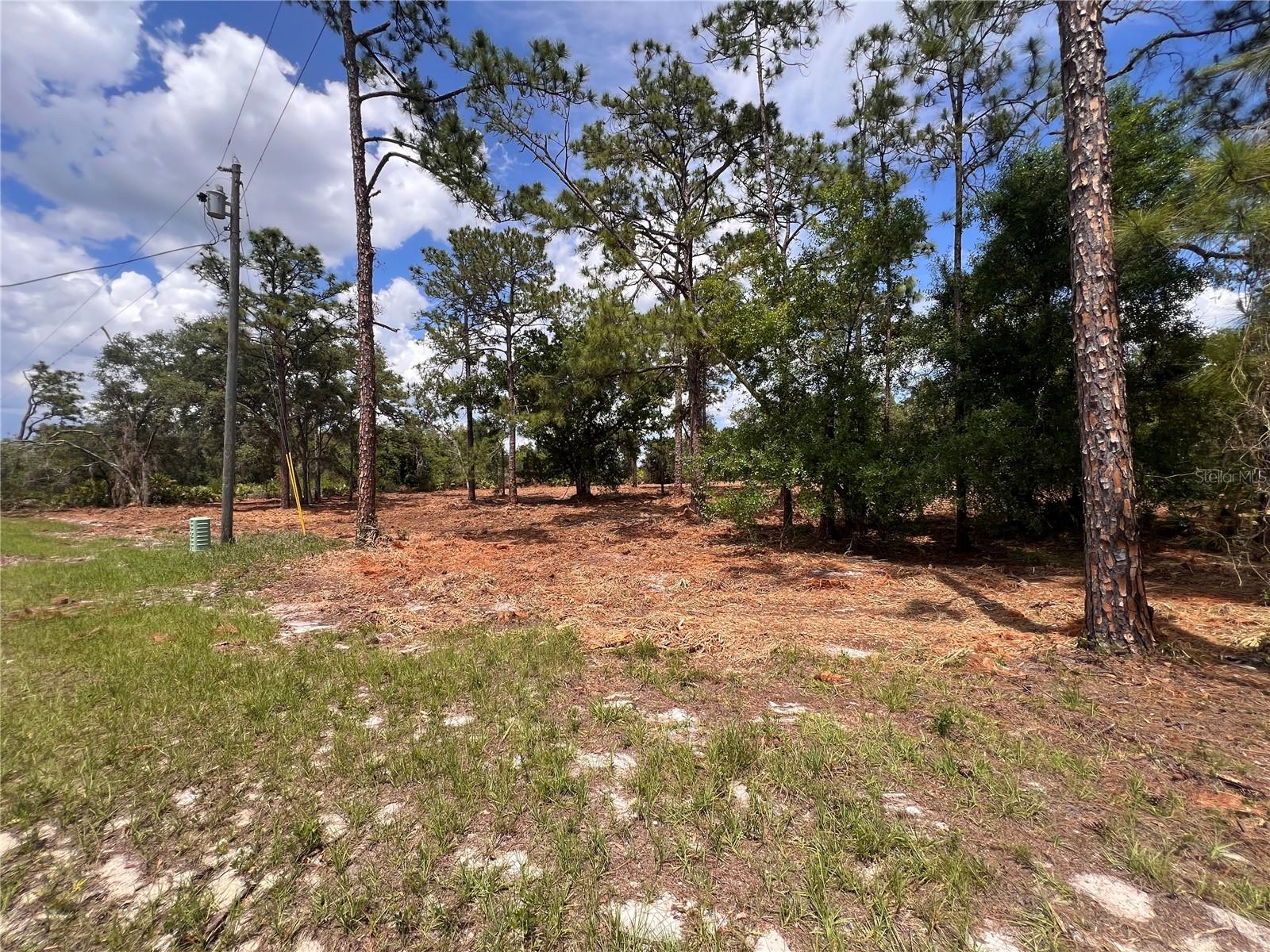 Deer Road, FL