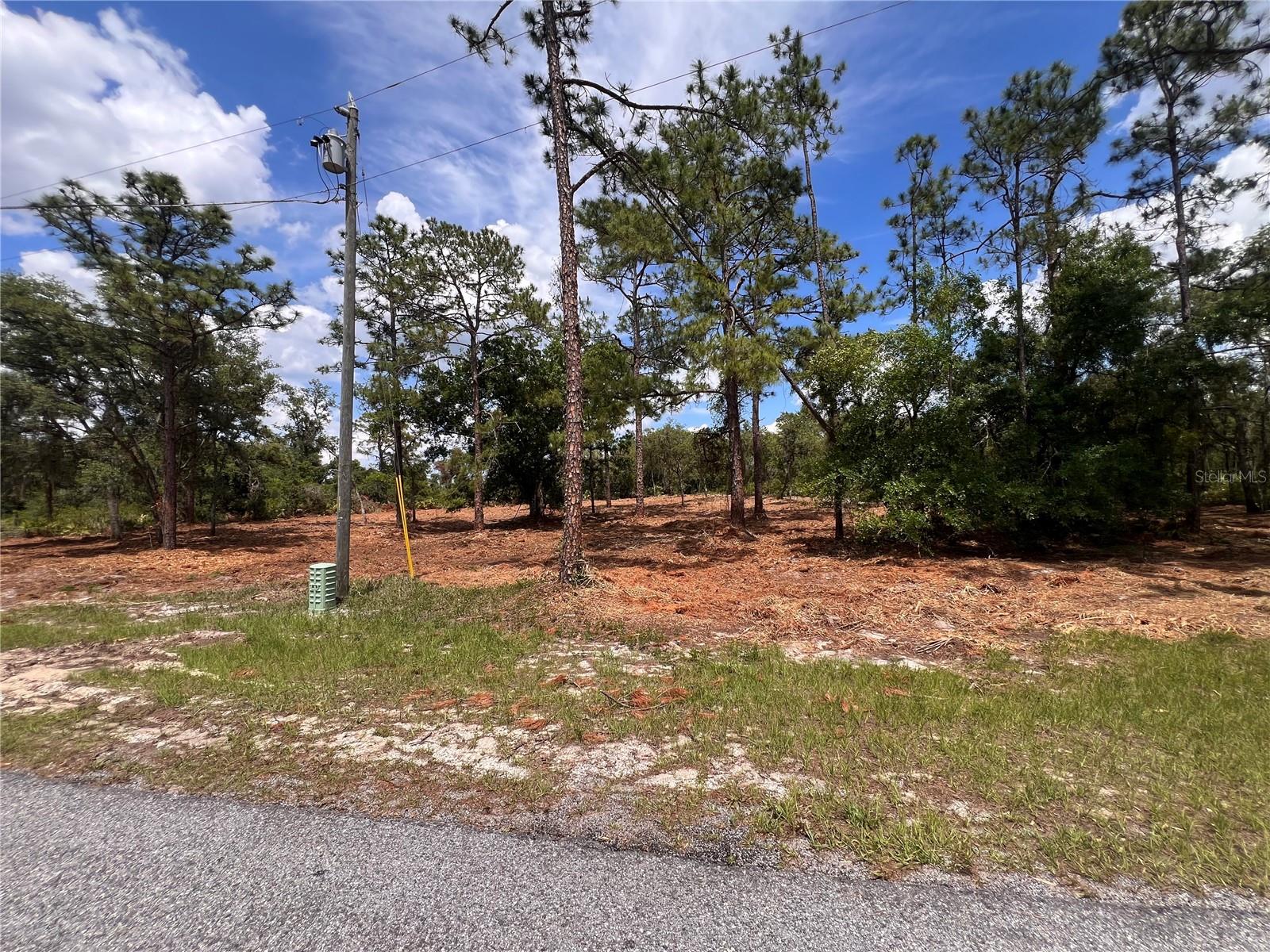 Deer Road, FL