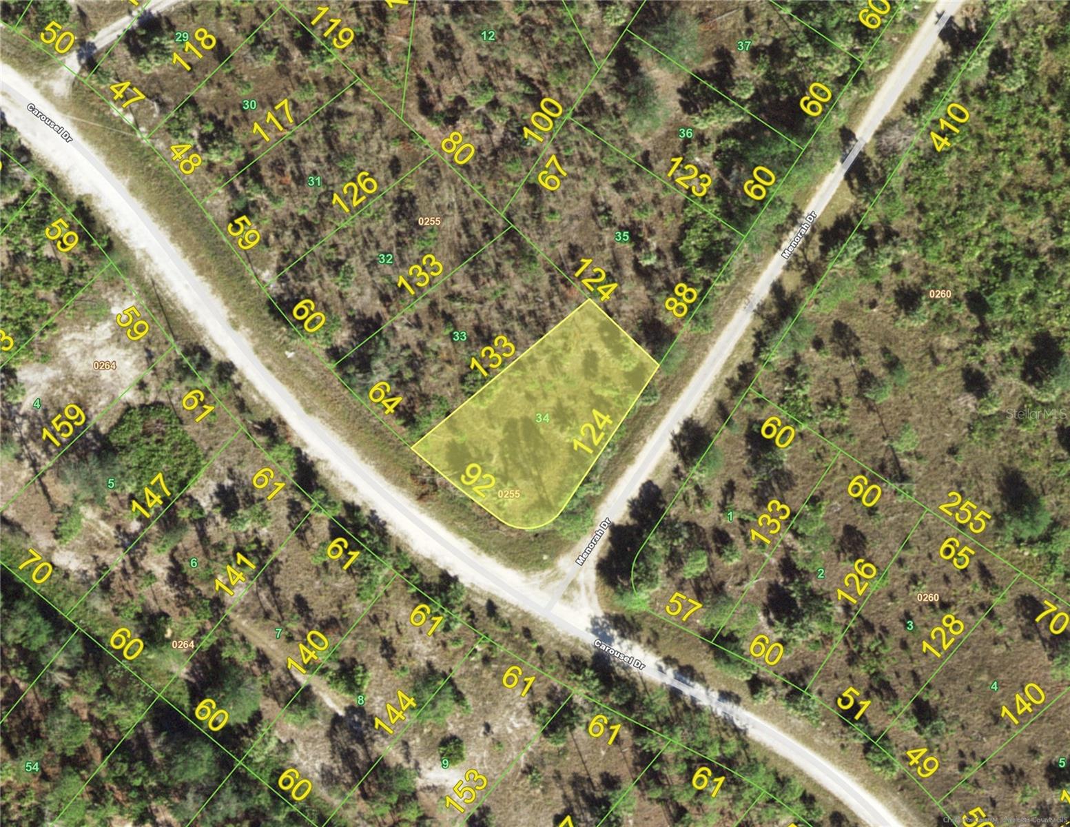 13389 Menorah Drive, FL