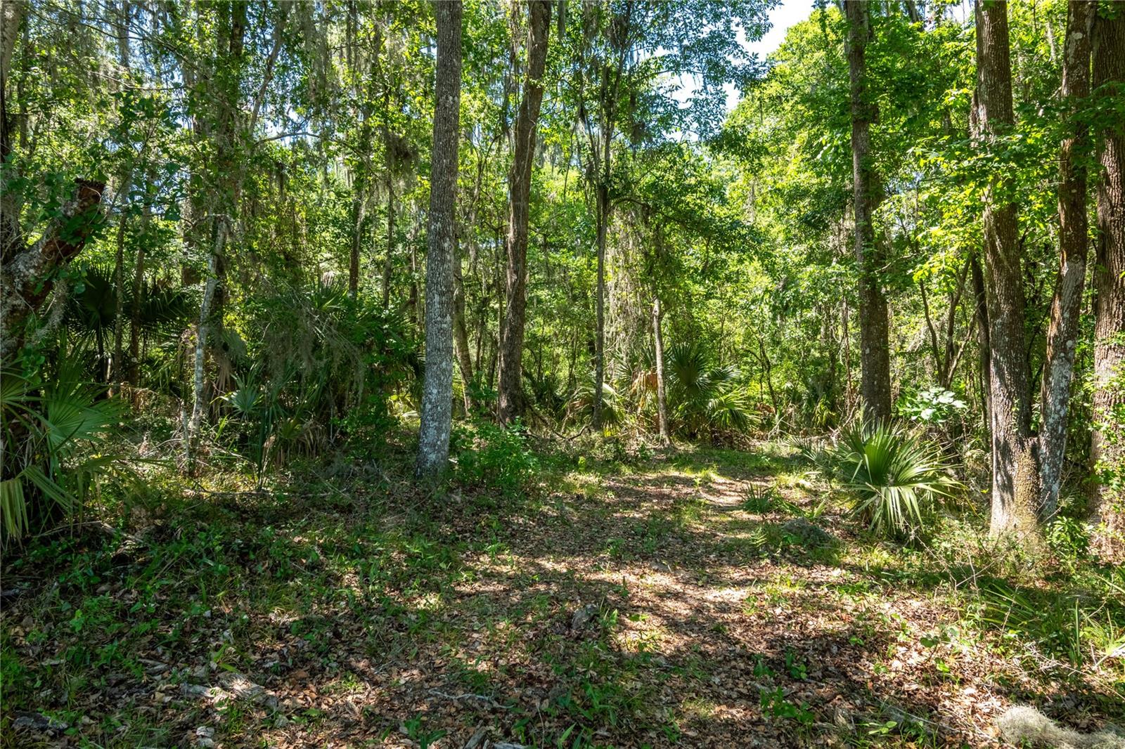 00 Hwy 225, FL