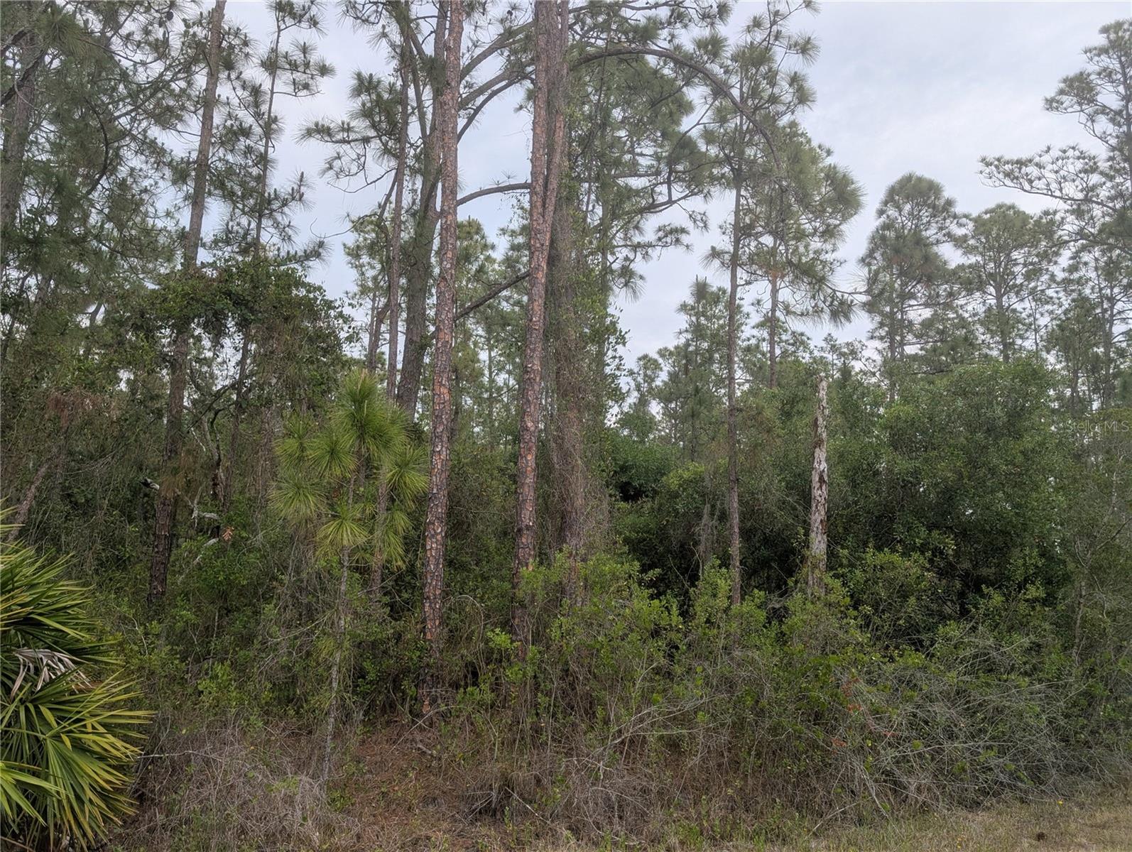 320 Alba Drive, FL