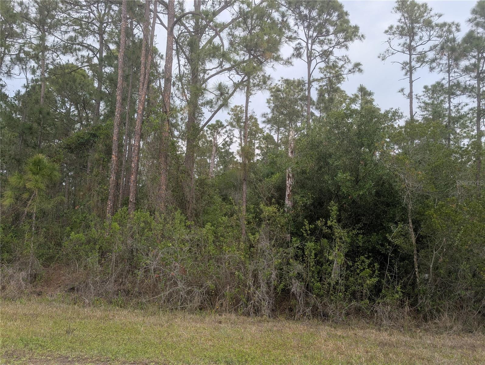 320 Alba Drive, FL