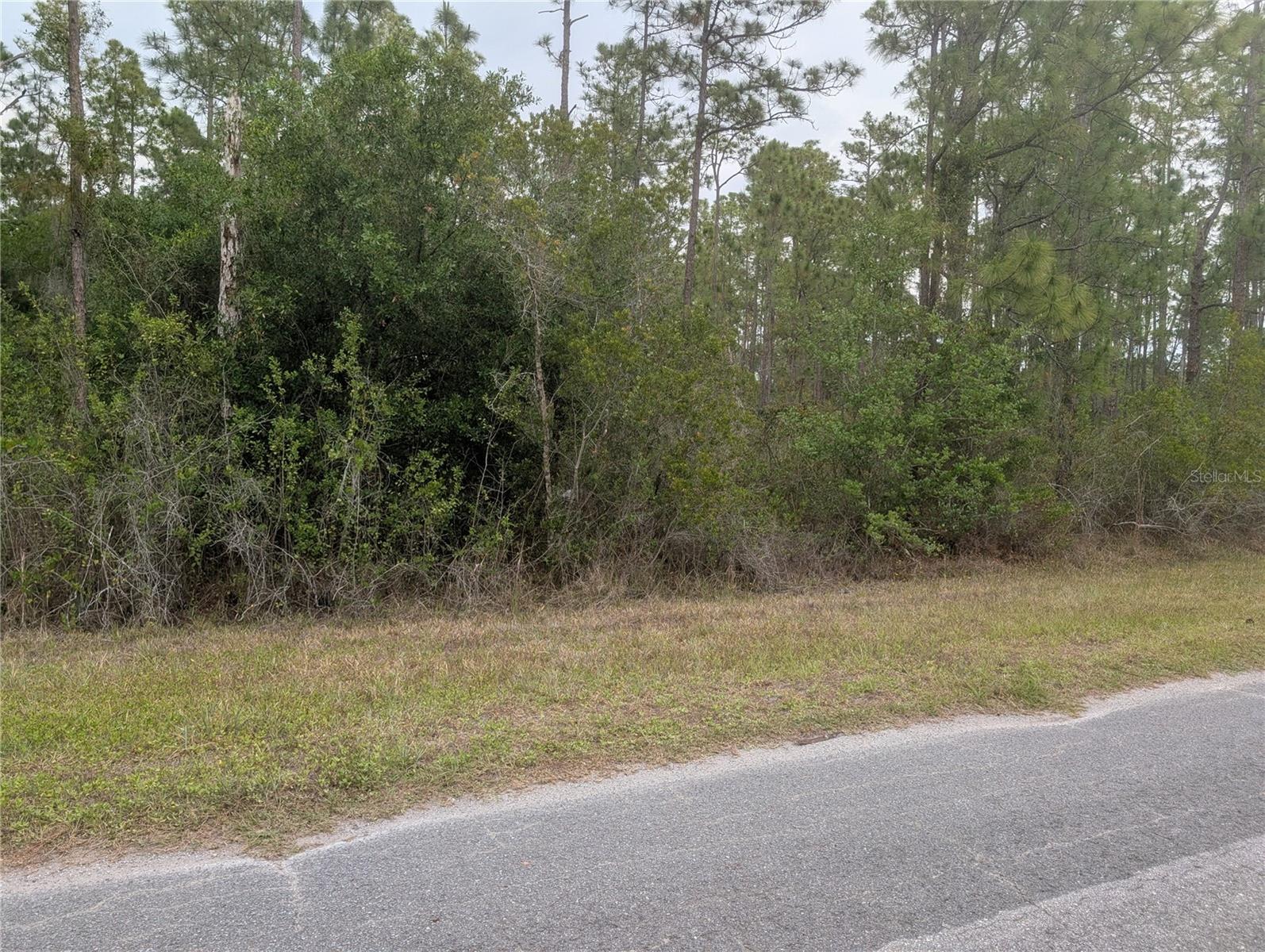 320 Alba Drive, FL