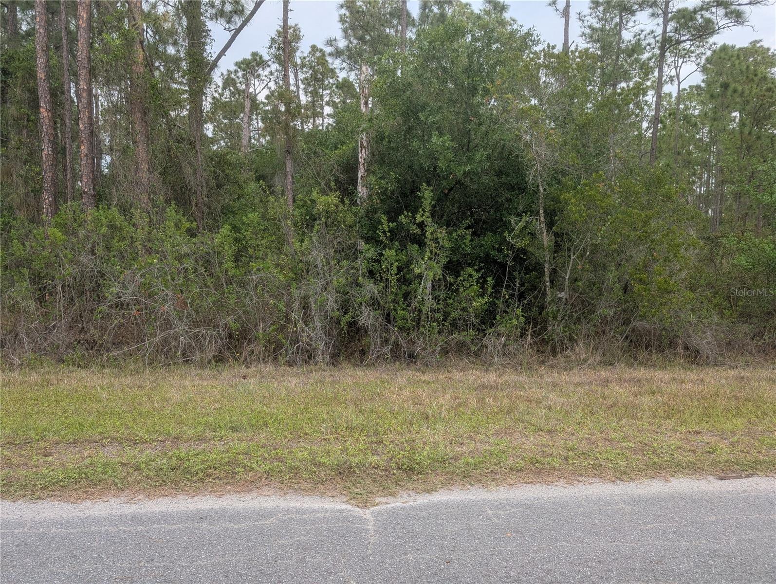 320 Alba Drive, FL