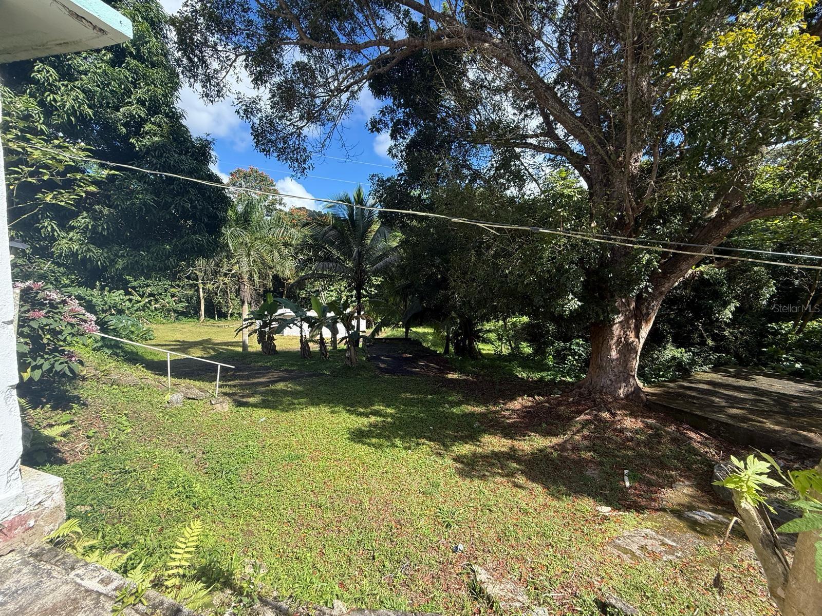 910 Camino Las Flores, PR