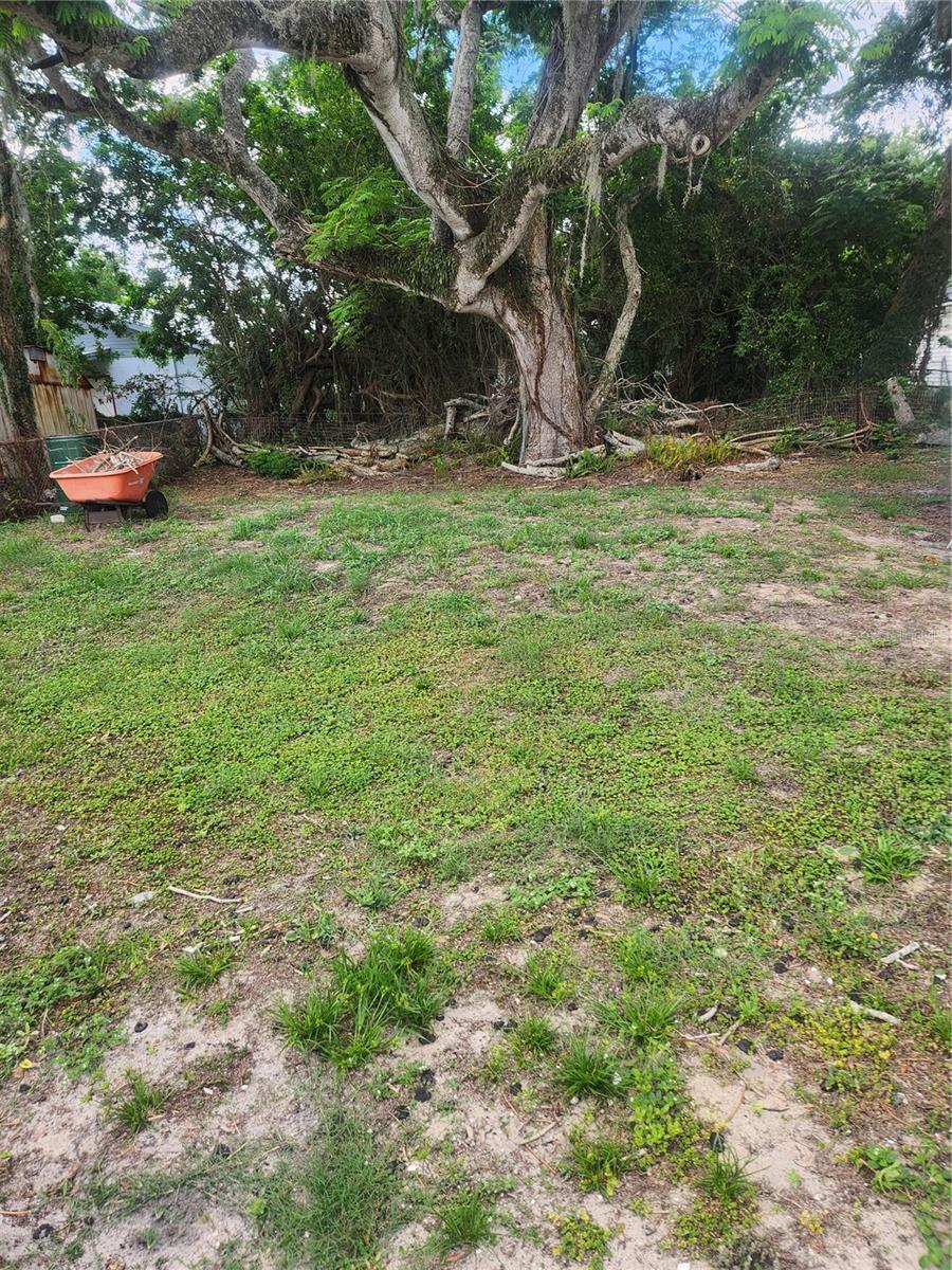 2429 Lakeview Street, FL