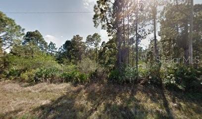1118 Cove Street, FL